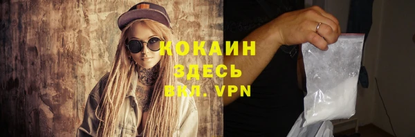 стаф Магадан