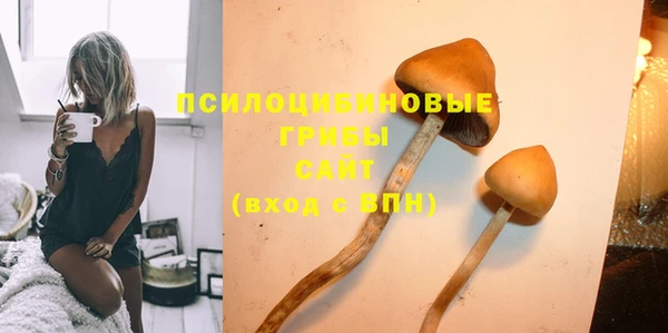 трава Магас