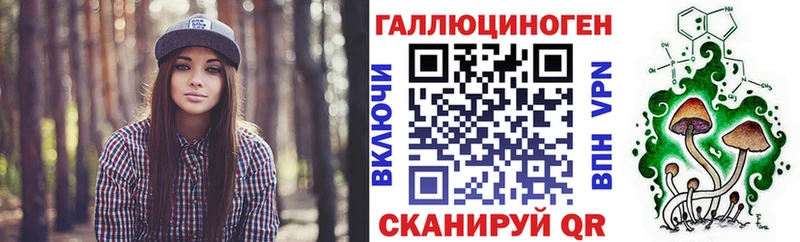 сколько стоит Приволжск Псилоцибиновые грибы MAGIC MUSHROOMS